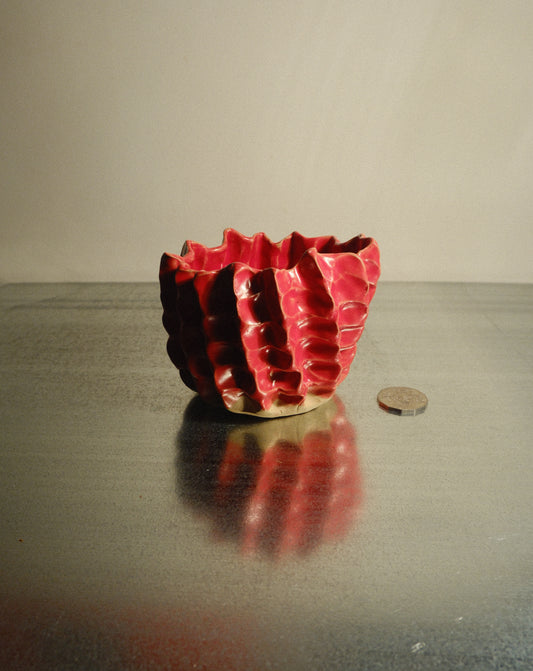 RED MOREL BOWL 001