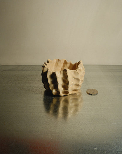 WHITE MOREL BOWL 001