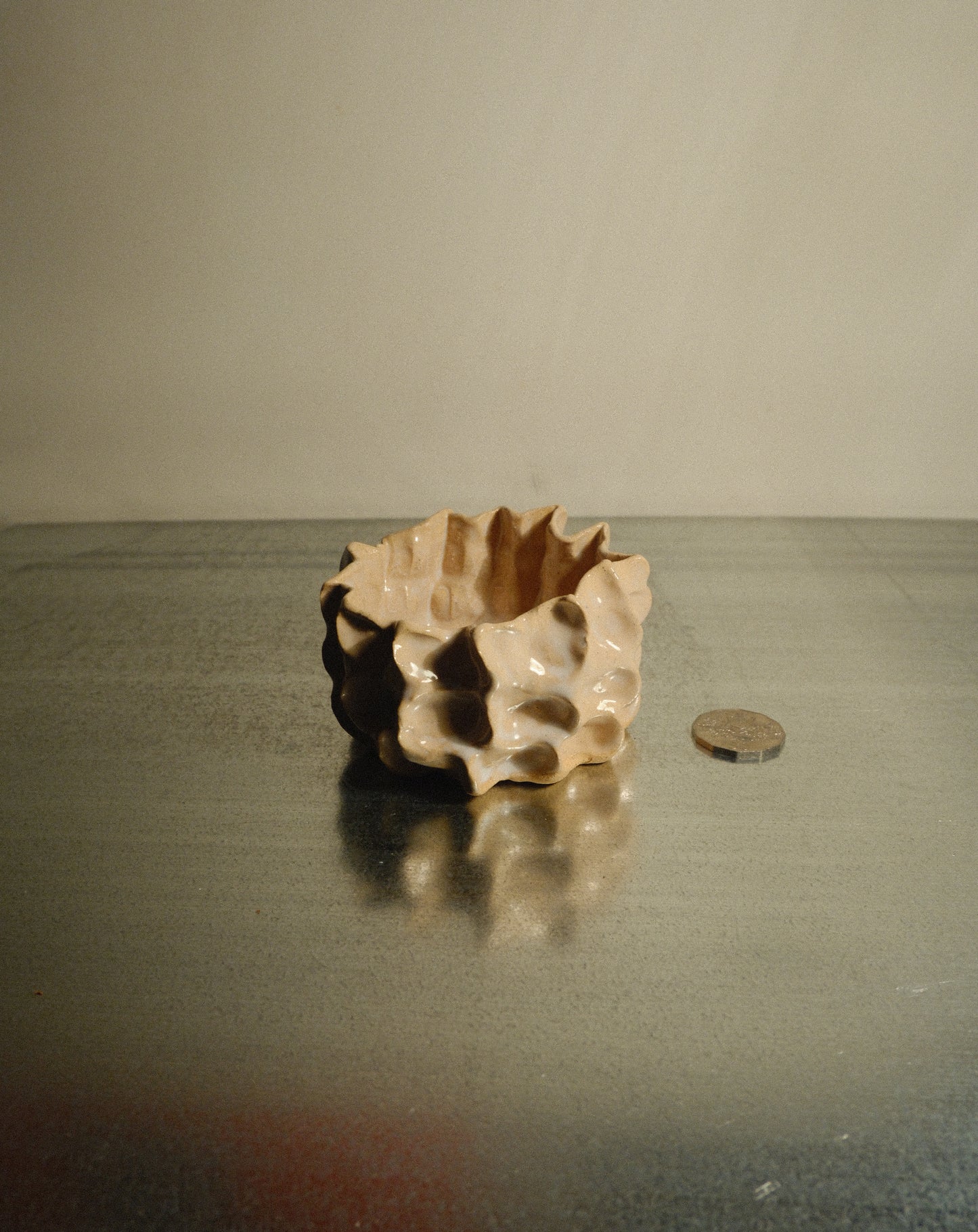 WHITE MOREL BOWL 002