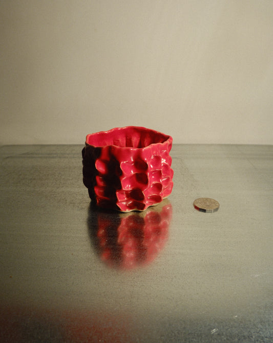 RED MOREL CUP 005