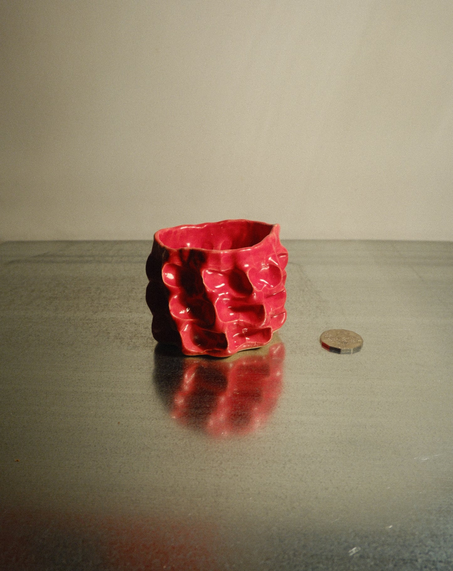 RED MOREL CUP 006
