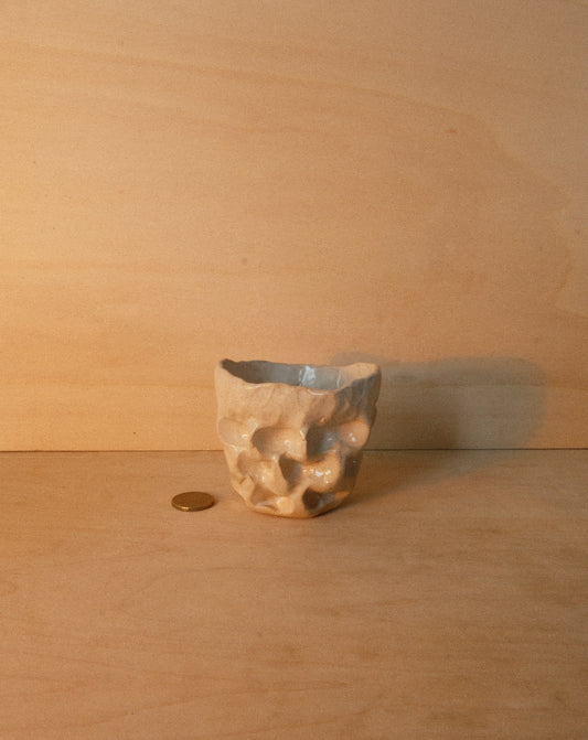 WHITE MOREL CUP 001