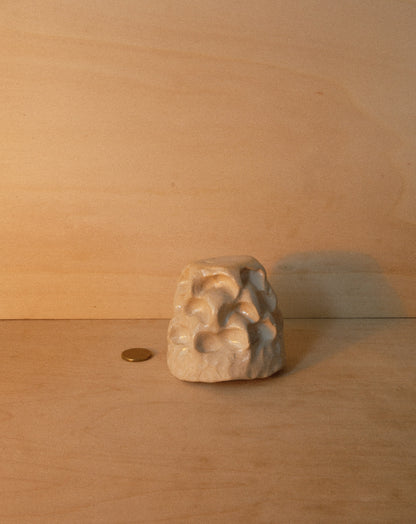 WHITE MOREL CUP 001