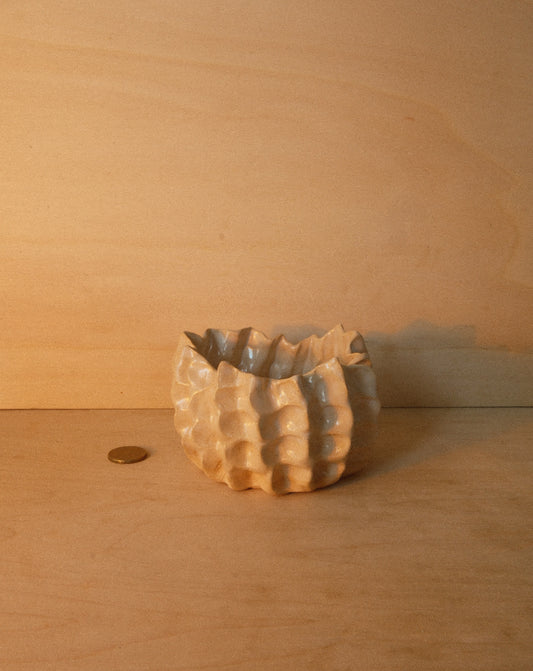 WHITE MOREL BOWL 001