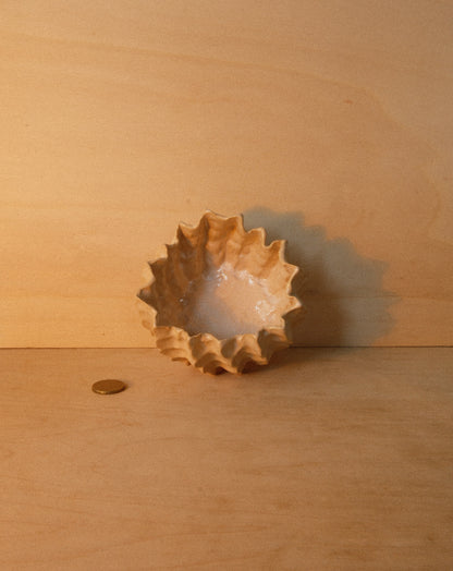 WHITE MOREL BOWL 001
