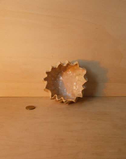 WHITE MOREL BOWL 001