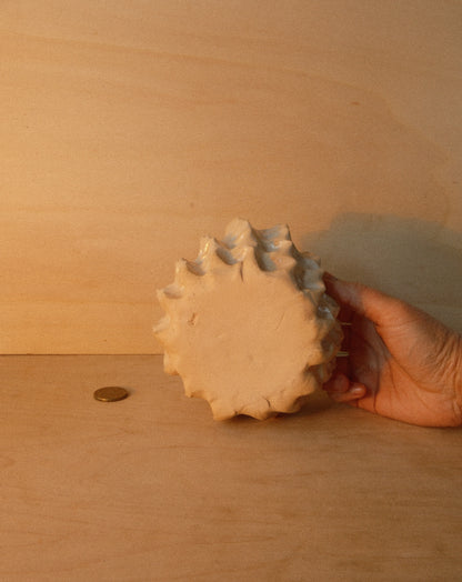 WHITE MOREL BOWL 001