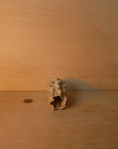 WHITE MOREL VASE 001