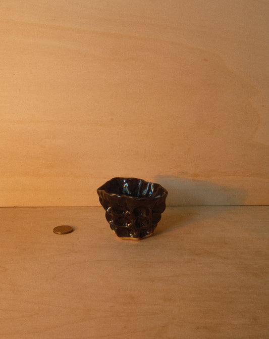BLACK MOREL CUP 001