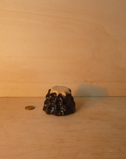 BLACK MOREL CUP 001