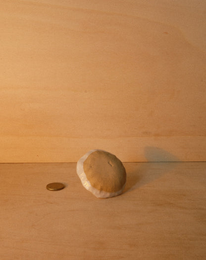 WHITE SHROOM RING DISH 001