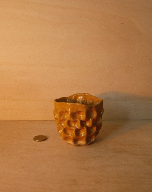 HONEY MOREL CUP 001