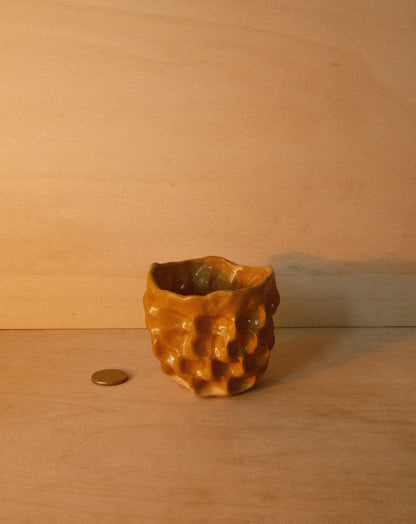HONEY MOREL CUP 001