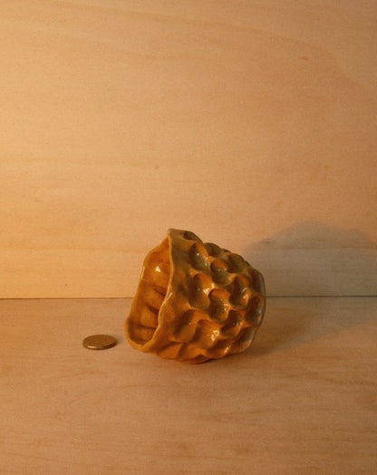 HONEY MOREL CUP 001