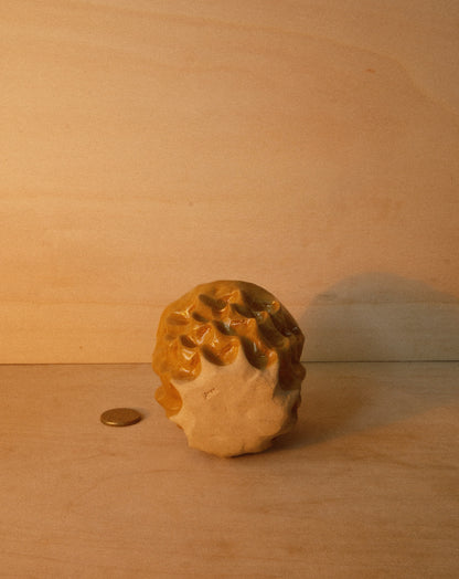 HONEY MOREL CUP 001
