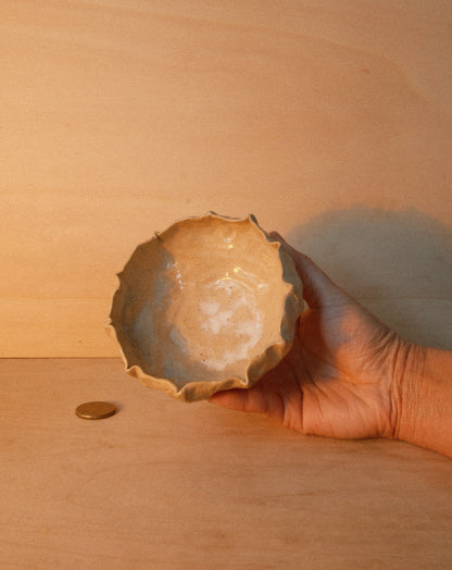 DUSK SHROOM BOWL 001