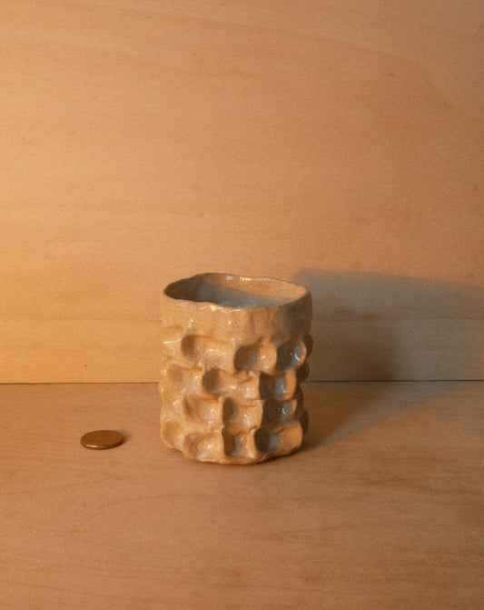 DUSK MOREL CUP 001