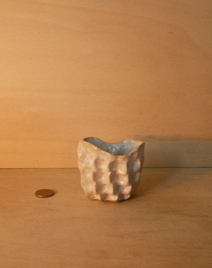 WHITE MOREL CUP 002