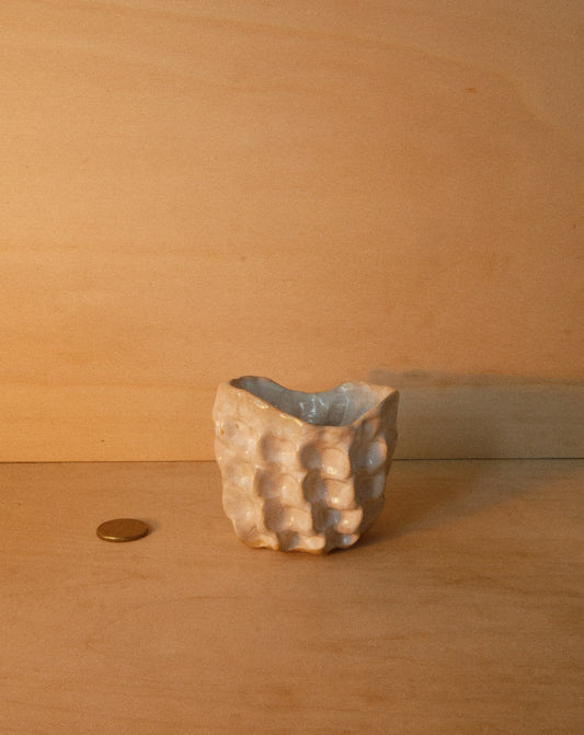 WHITE MOREL CUP 002