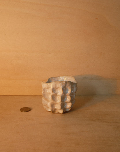 WHITE MOREL CUP 002