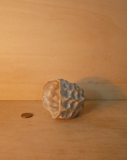 WHITE MOREL CUP 002