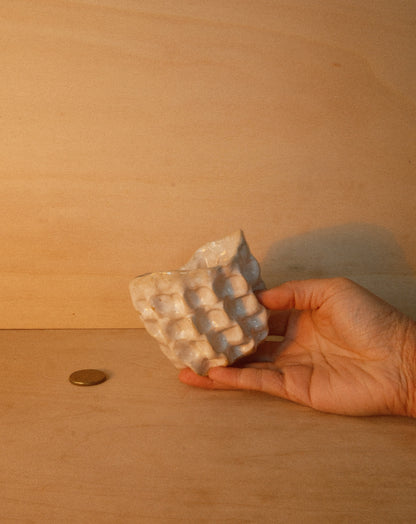 WHITE MOREL CUP 002