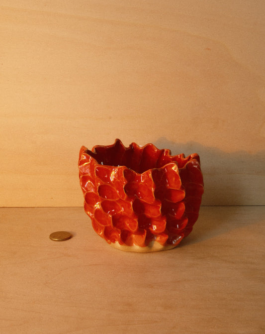 RED MOREL BOWL 001