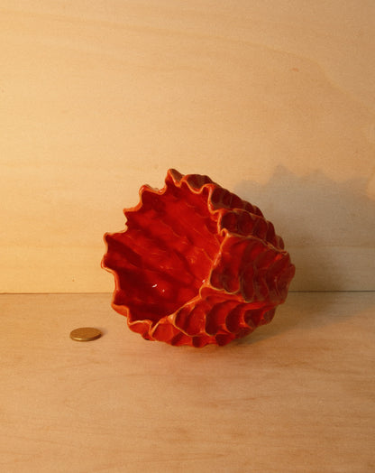 RED MOREL BOWL 001