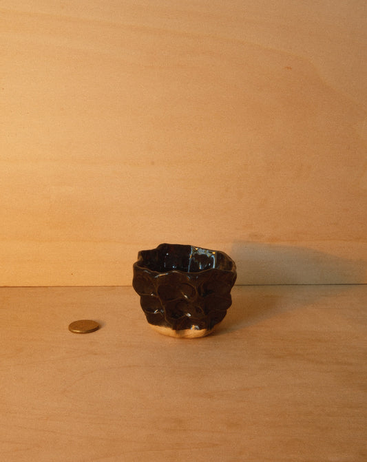 BLACK MOREL CUP 002