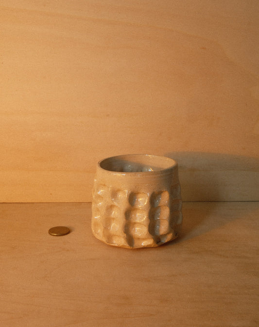 DUSK MOREL CUP 002
