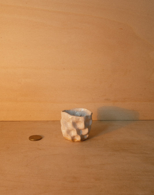 WHITE MOREL CUP 003