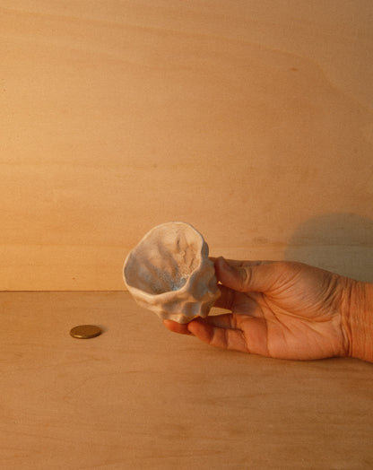 WHITE MOREL CUP 003