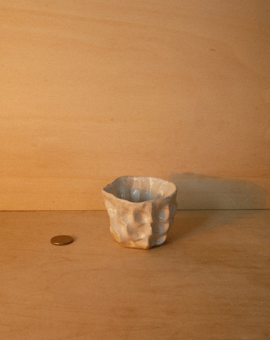 WHITE MOREL CUP 004