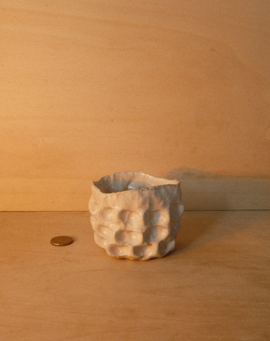 WHITE MOREL CUP 005