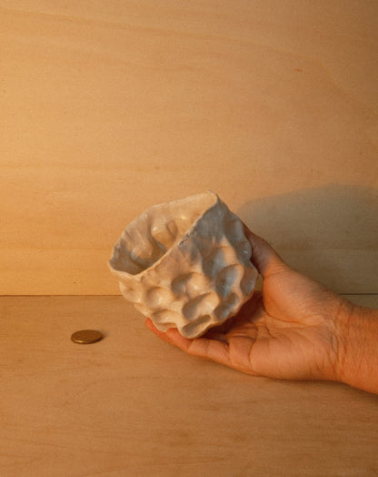 WHITE MOREL CUP 005