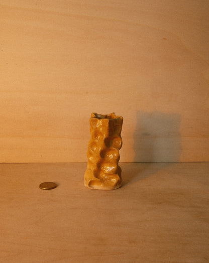 HONEY MOREL VASE 001