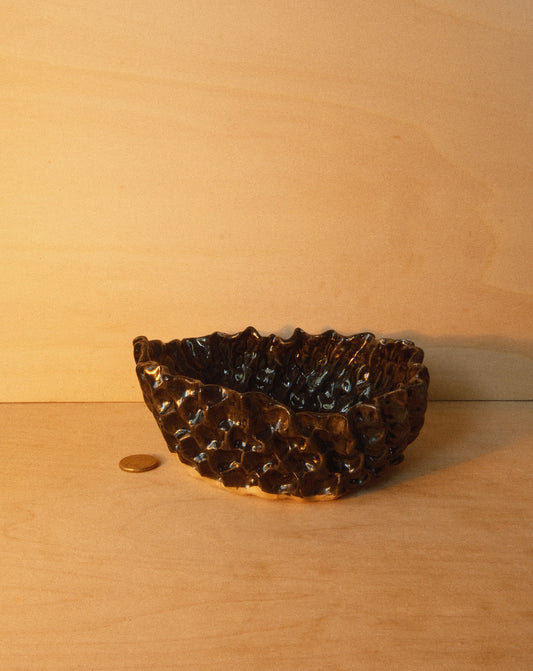 BLACK MOREL BOWL 001