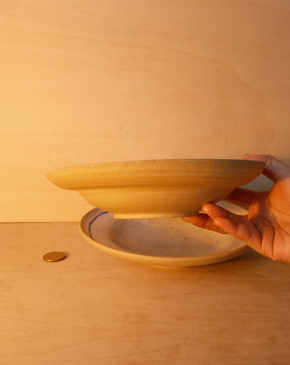 WHITE BLUE LINE PLATE