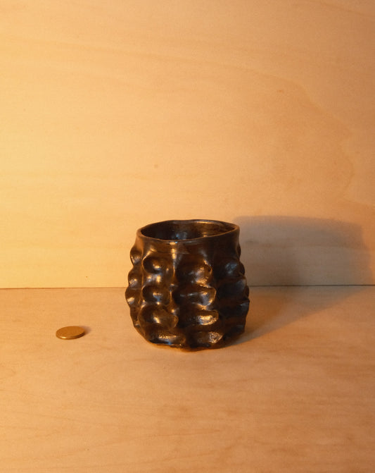 BLACK MOREL CUP 003