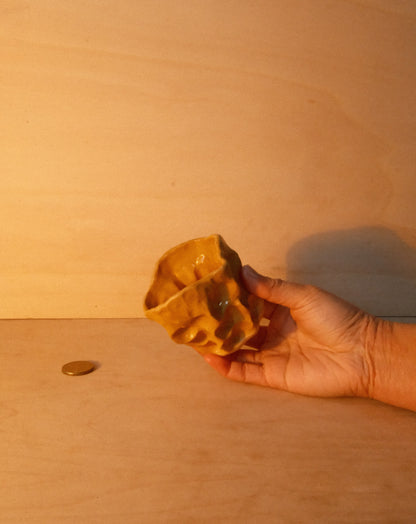 HONEY MOREL CUP 002