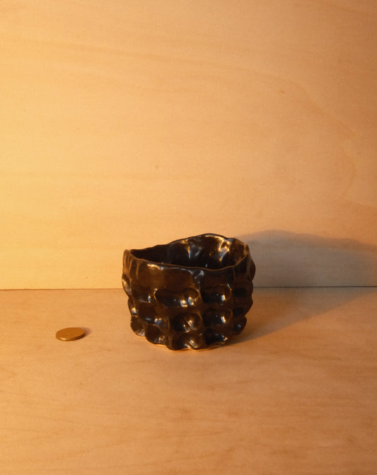 BLACK MOREL CUP 004