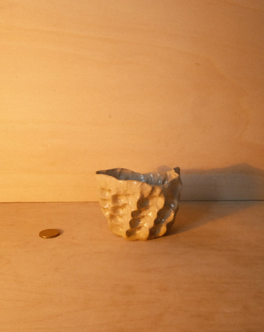 DUSK MOREL CUP 003