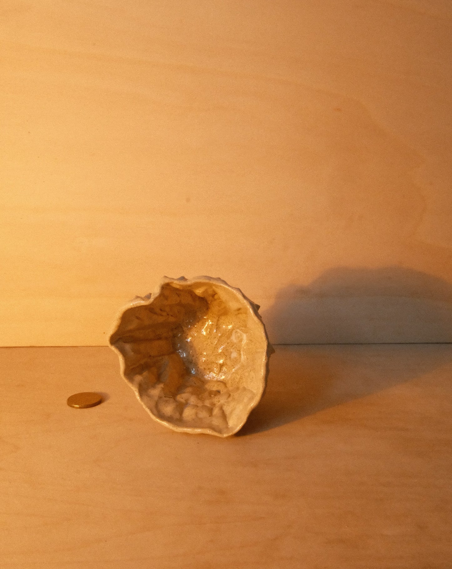 DUSK MOREL CUP 003