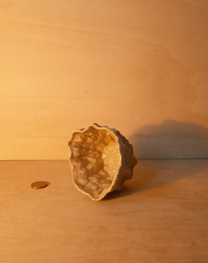 DUSK MOREL CUP 003