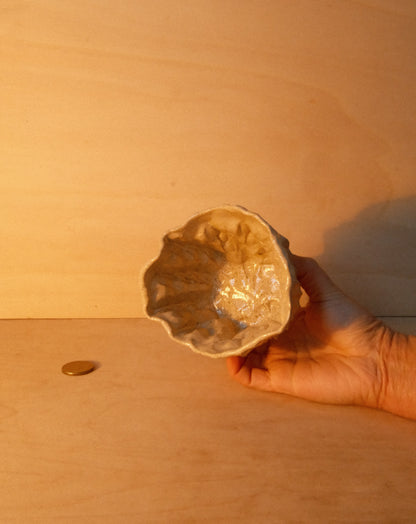 DUSK MOREL CUP 003