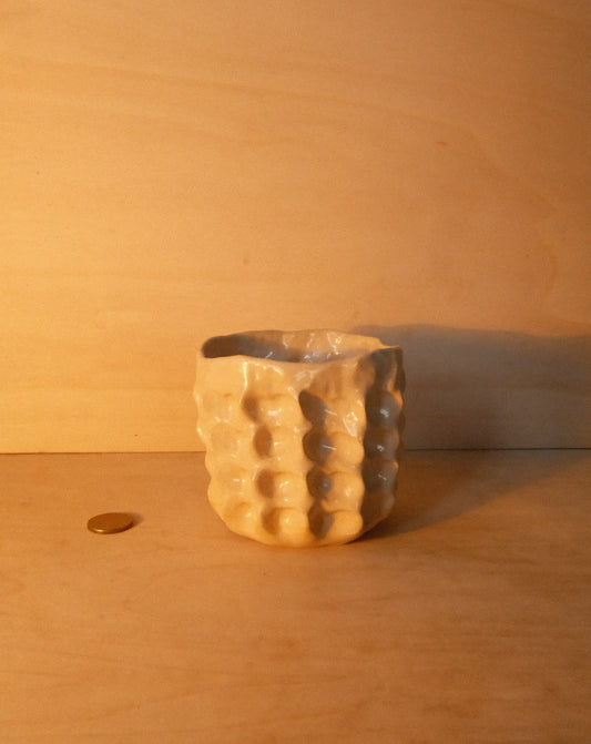 DUSK MOREL CUP 004