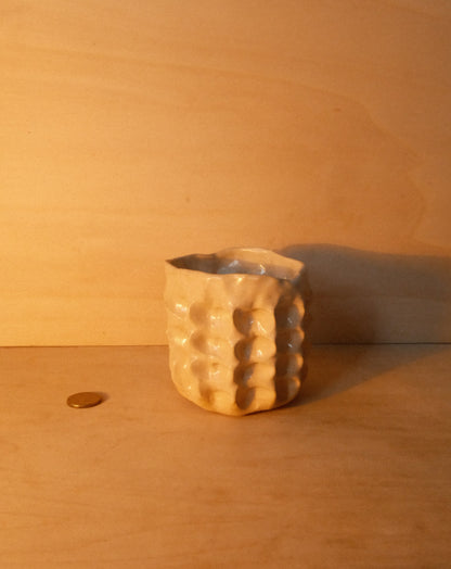 DUSK MOREL CUP 004