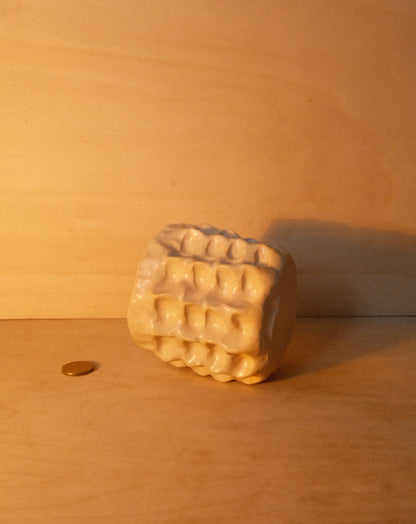 DUSK MOREL CUP 004