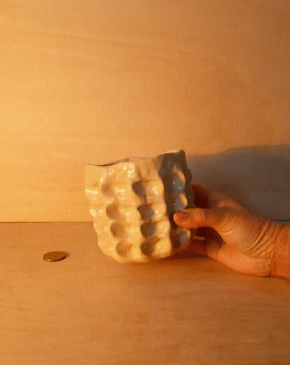 DUSK MOREL CUP 004
