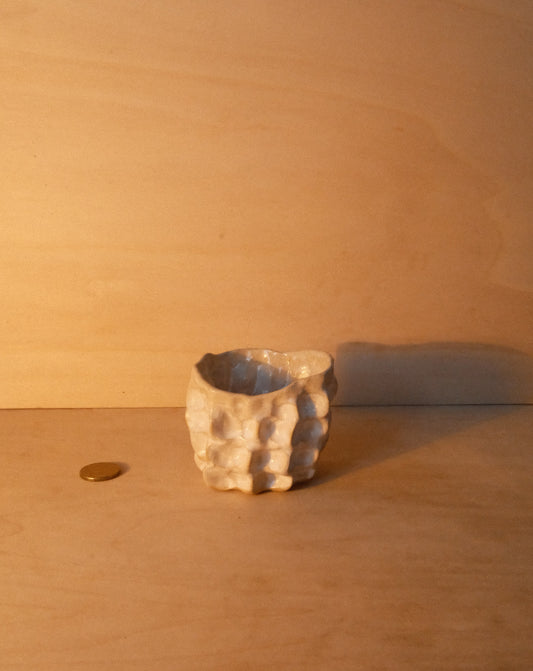 WHITE MOREL CUP 006